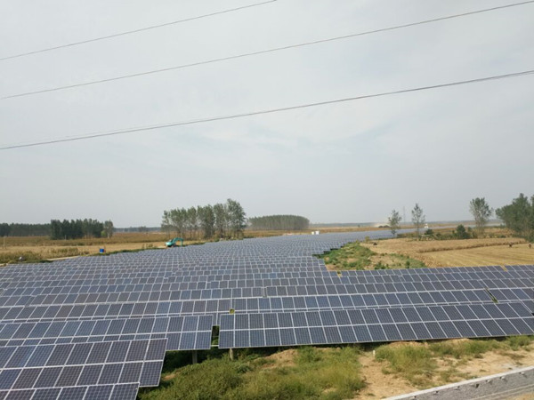 河南舞阳县姜店乡振发新能源科技有限公司 20MW光伏发电项目
